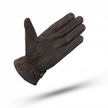 Cargar imagen en el visor de la galería, LAPS